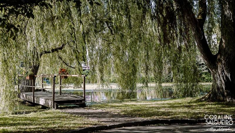 Espaces photos extérieur décoré